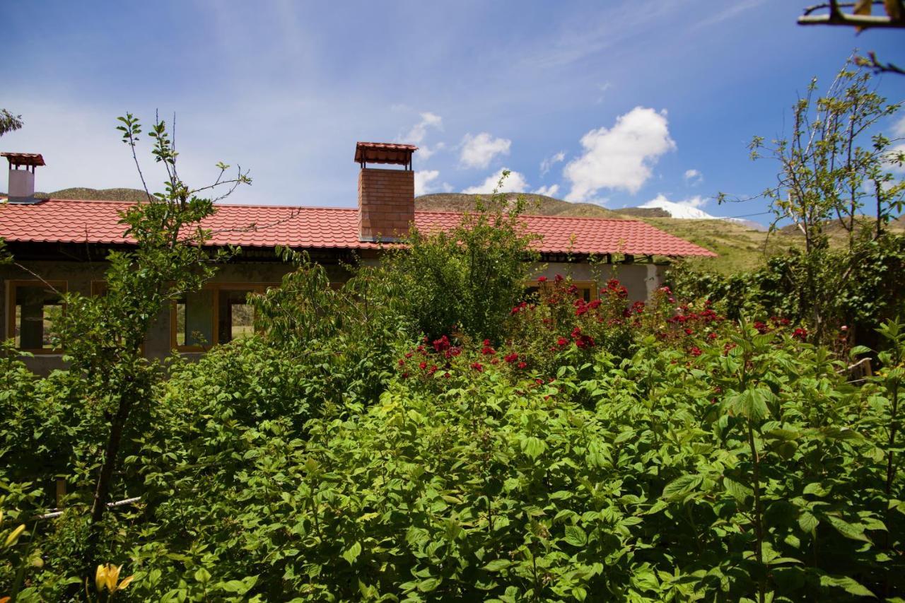 Hostal Vientos Del Altiplano ปูเตร ภายนอก รูปภาพ
