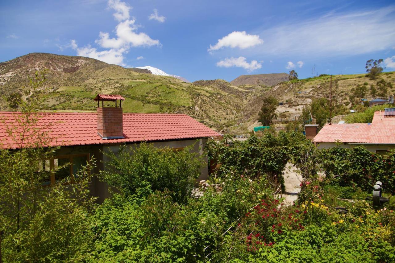 Hostal Vientos Del Altiplano ปูเตร ภายนอก รูปภาพ