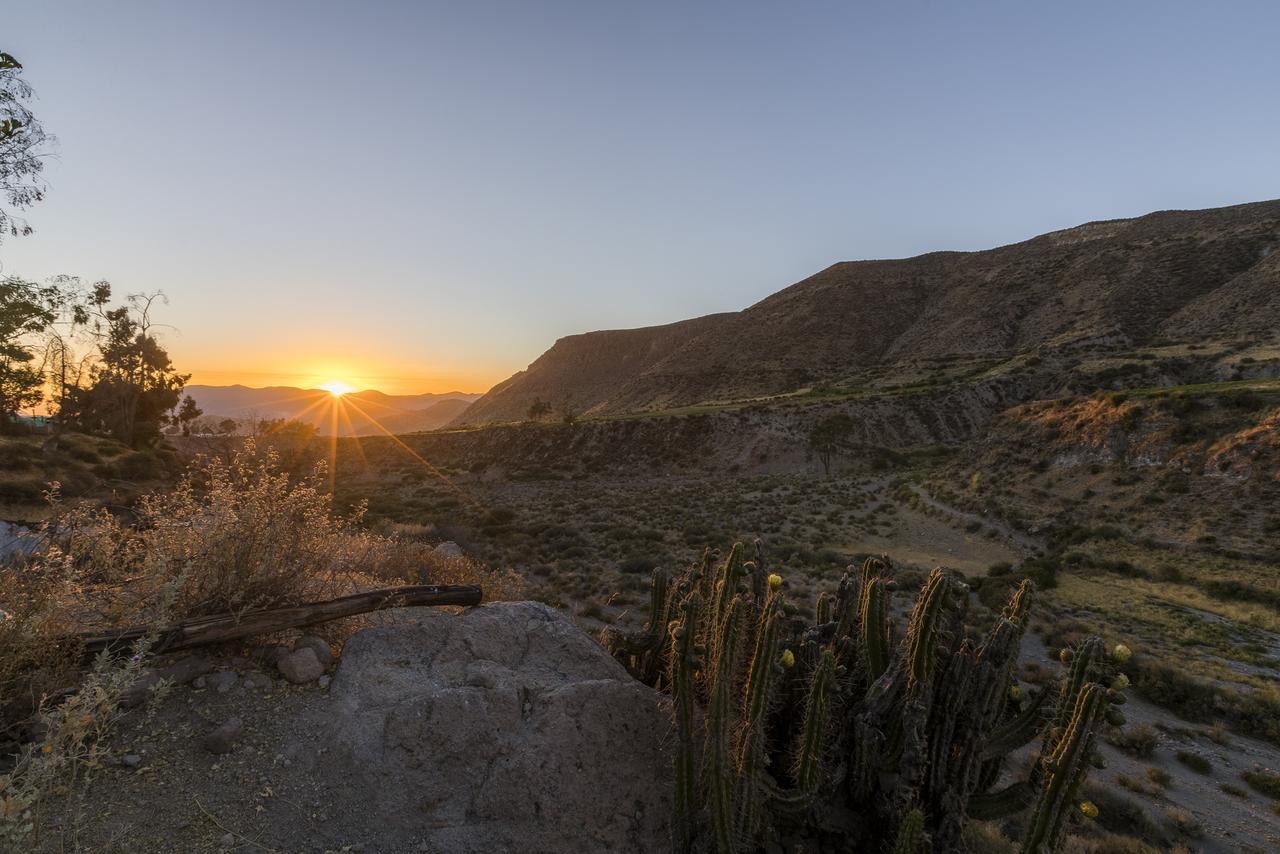 Hostal Vientos Del Altiplano ปูเตร ภายนอก รูปภาพ