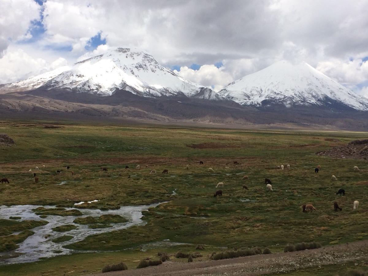 Hostal Vientos Del Altiplano ปูเตร ภายนอก รูปภาพ