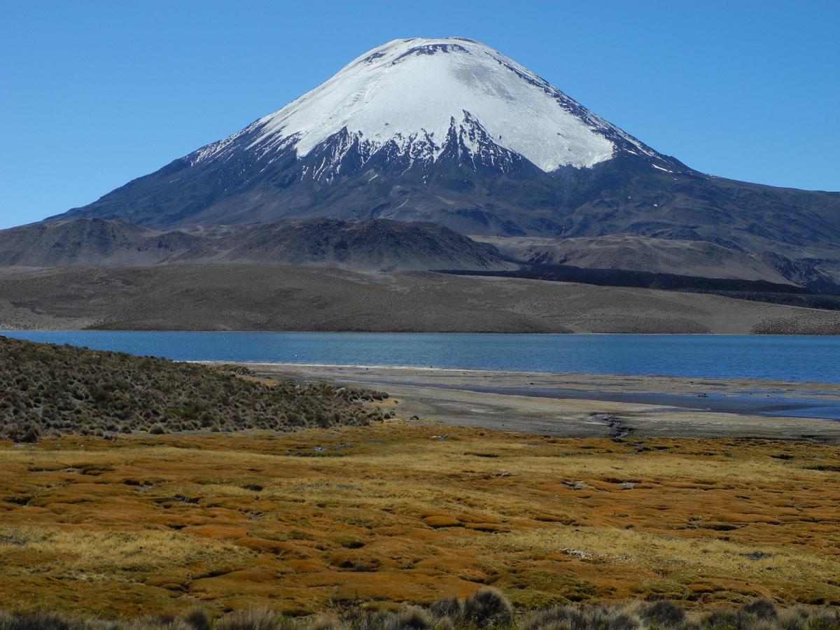 Hostal Vientos Del Altiplano ปูเตร ภายนอก รูปภาพ