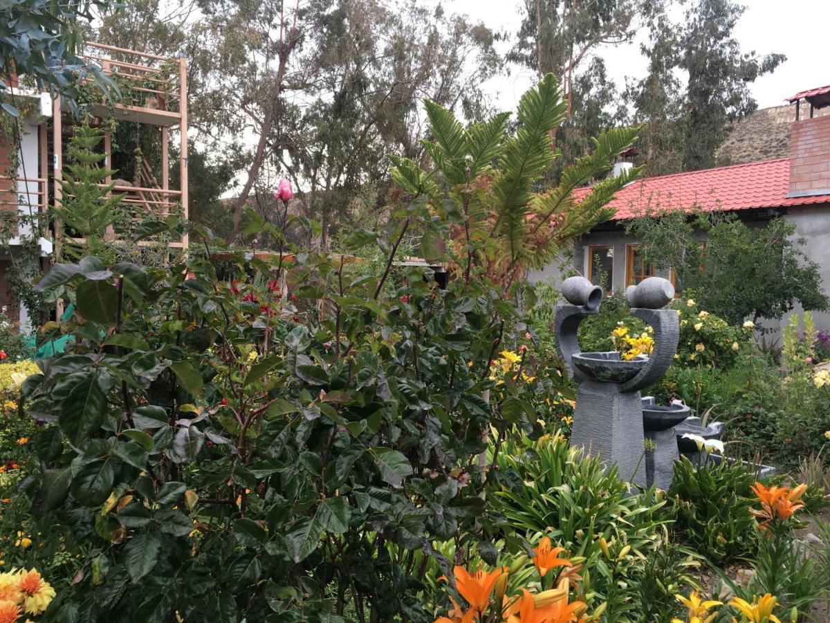 Hostal Vientos Del Altiplano ปูเตร ภายนอก รูปภาพ